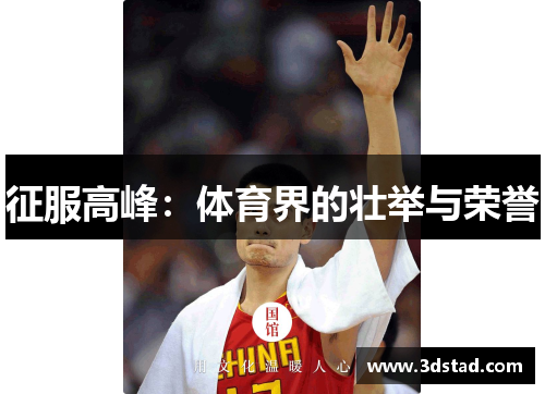 征服高峰：体育界的壮举与荣誉